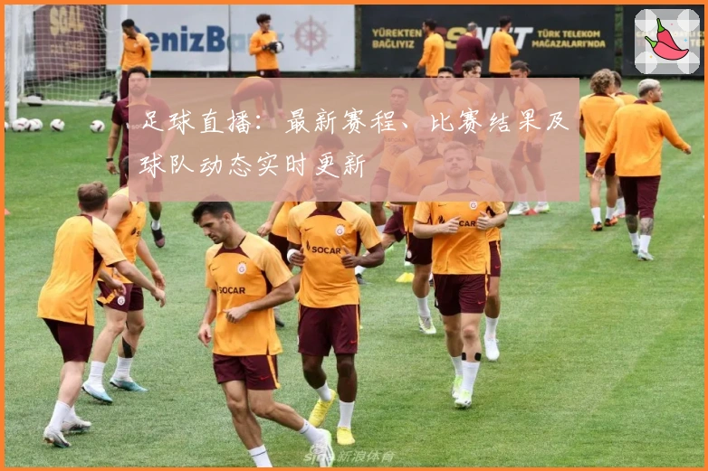 足球直播：最新赛程、比赛结果及球队动态实时更新
