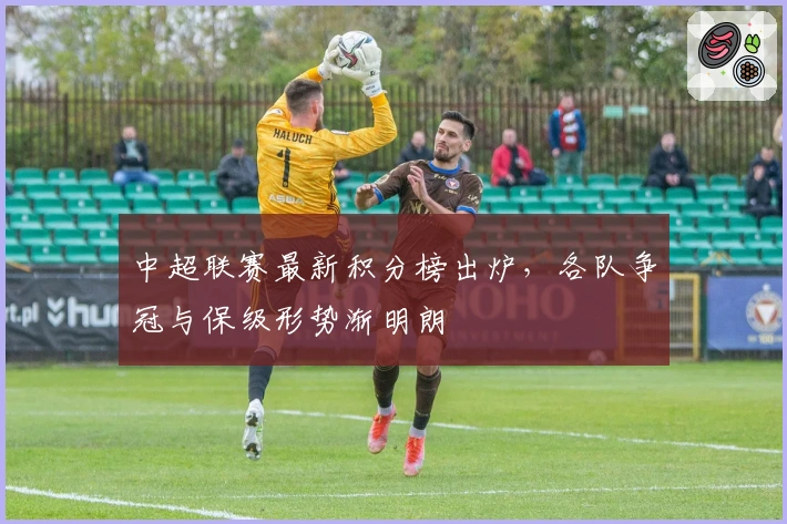 中超联赛最新积分榜出炉，各队争冠与保级形势渐明朗